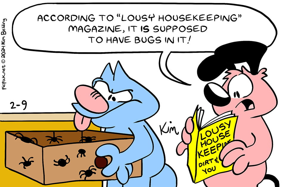 Lousy Housekeeping